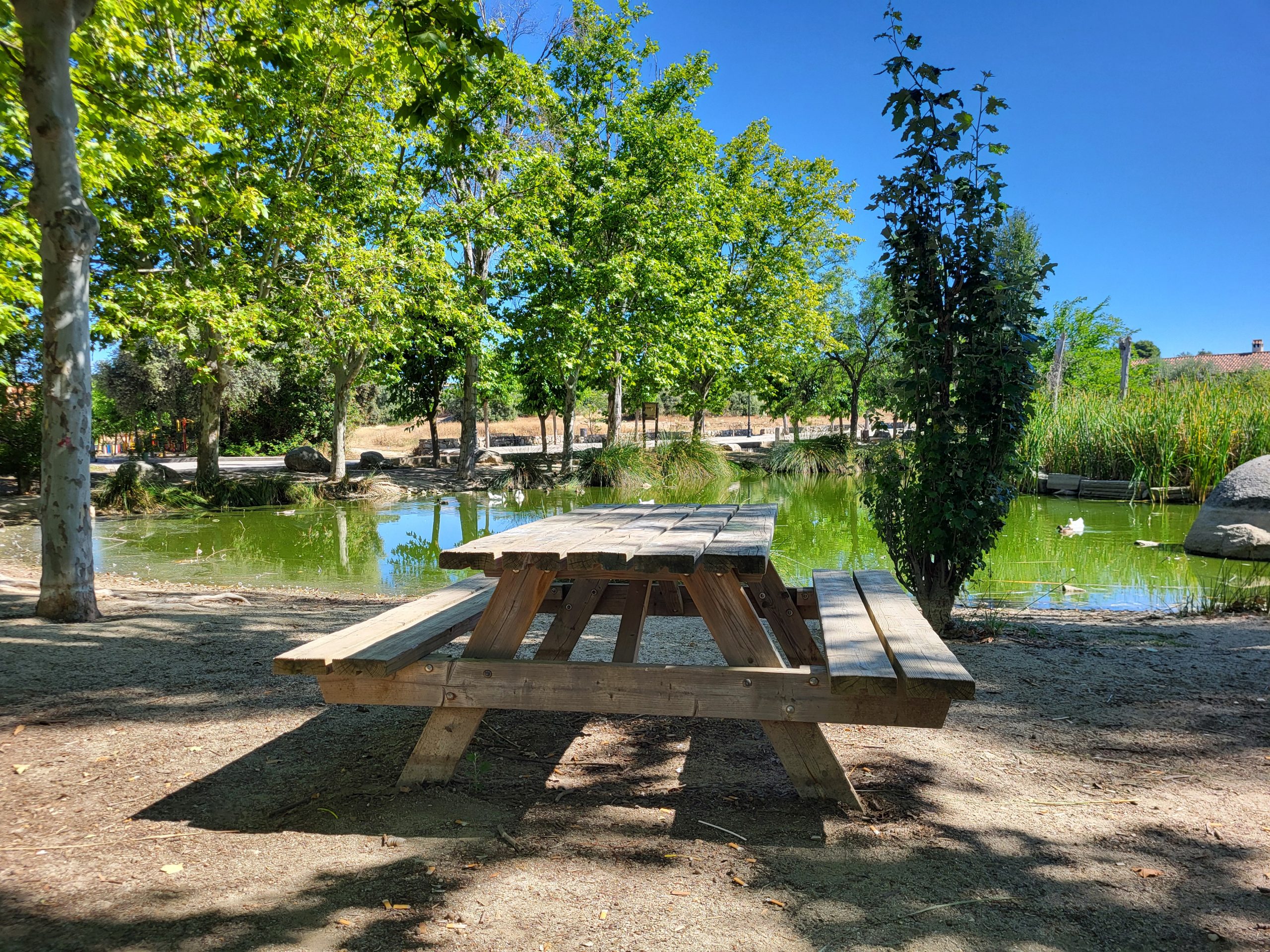 laguna de pozairon chapineria