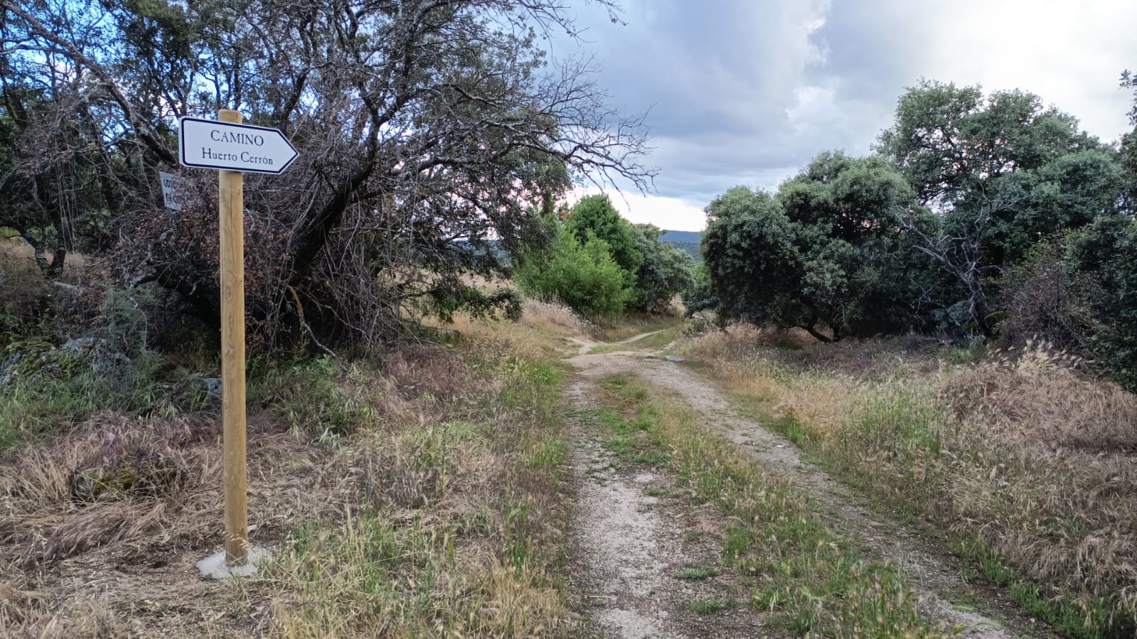 El Ayuntamiento culmina la rehabilitación y mejora de varios caminos forestales del municipio