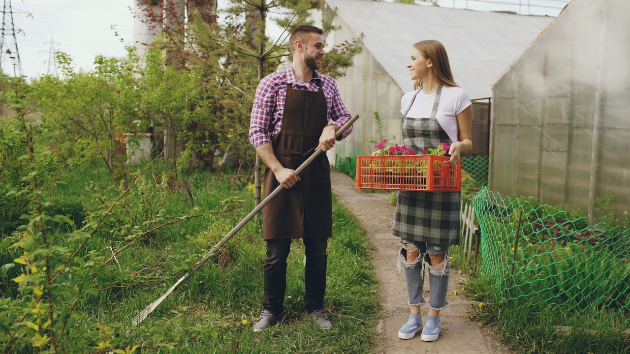 Jóvenes jardineros empleo